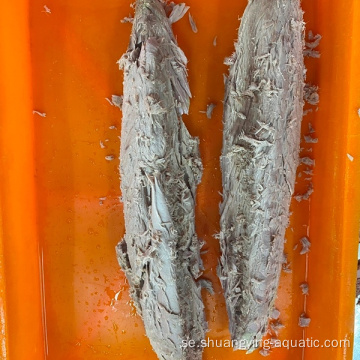 Frysta förkokta skipjack bonito tonfisk loin vakuumpaket